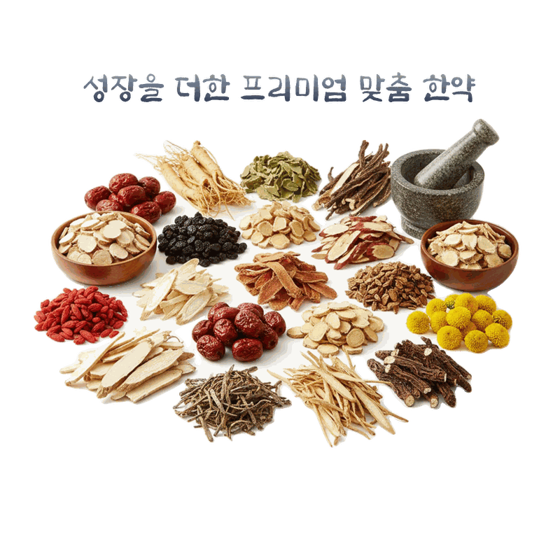 맞춤 탕약